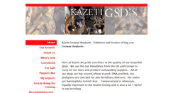 Desktop Screenshot of kazetigsds.com