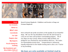 Tablet Screenshot of kazetigsds.com